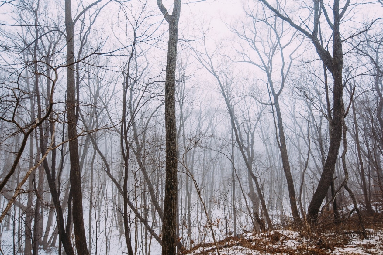 Тематическое фото ИА PrimaMedia.ru