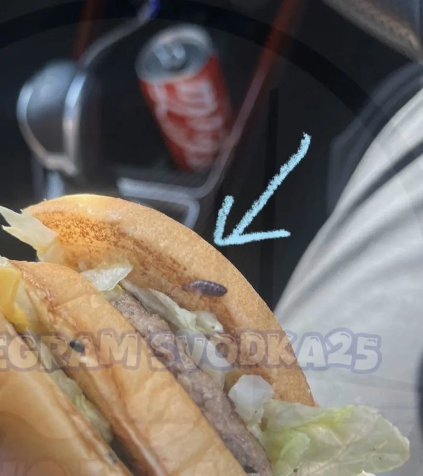 Тематическое фото tg-канал (18+) svodka25