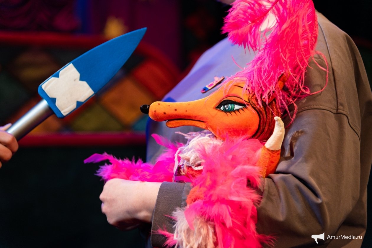 Евдокия Сорокина, ИА AmurMedia