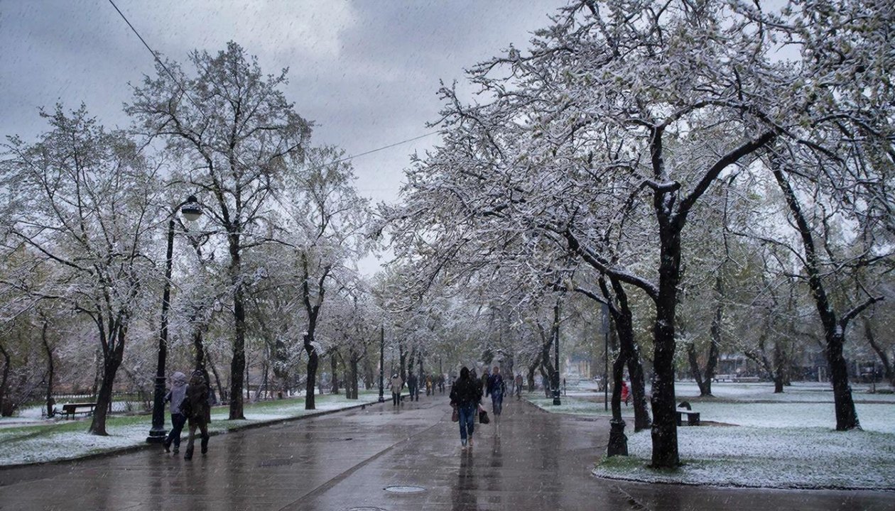 Мокрый снег и сильный ветер ожидаются в Иркутской области 25 марта Kandinsky by Sber AI (18+)