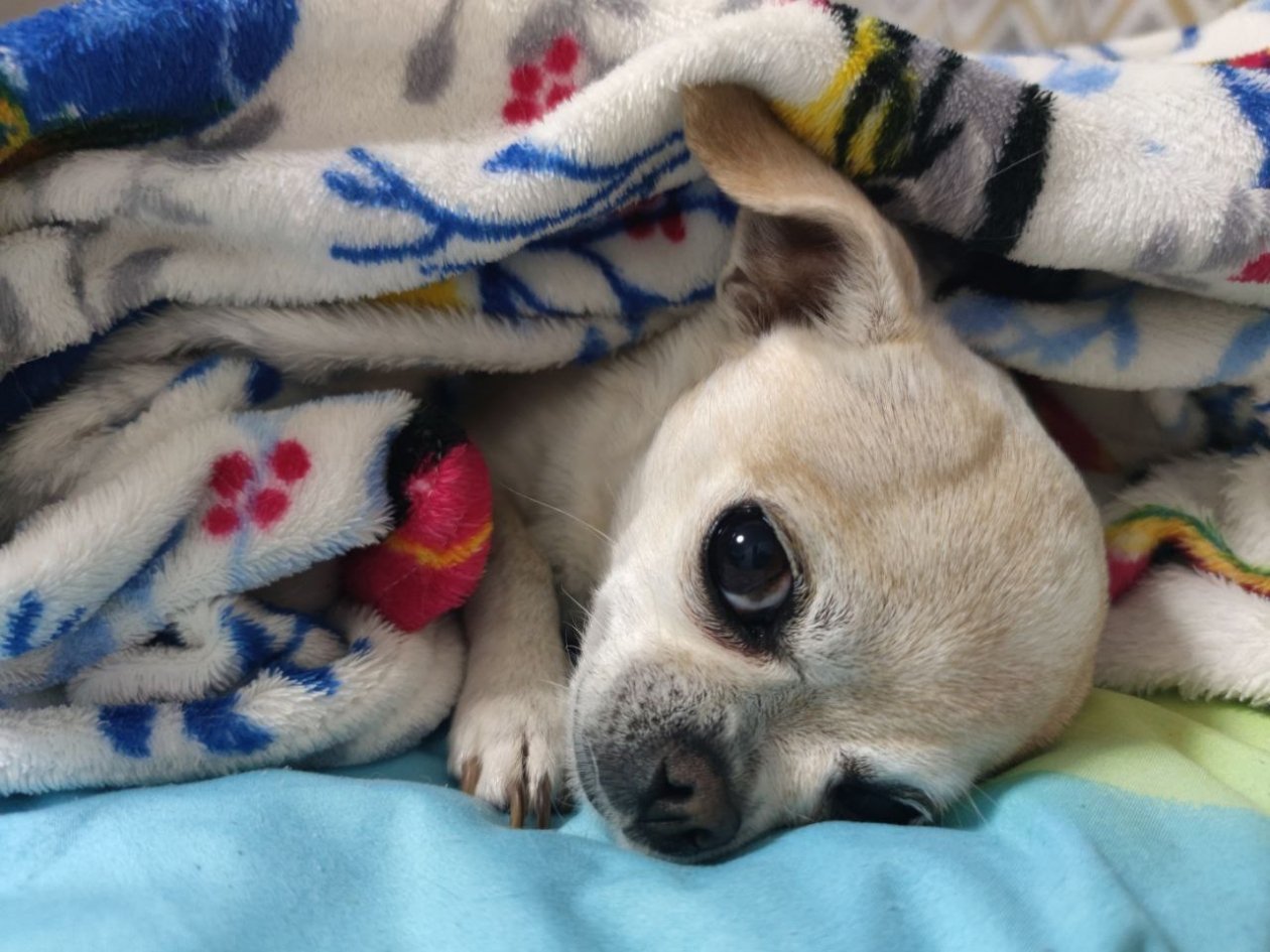 20 улиц и 7 соцобъектов остались без тепла и горячей воды в Кисловодске ИА Stavropol.Media