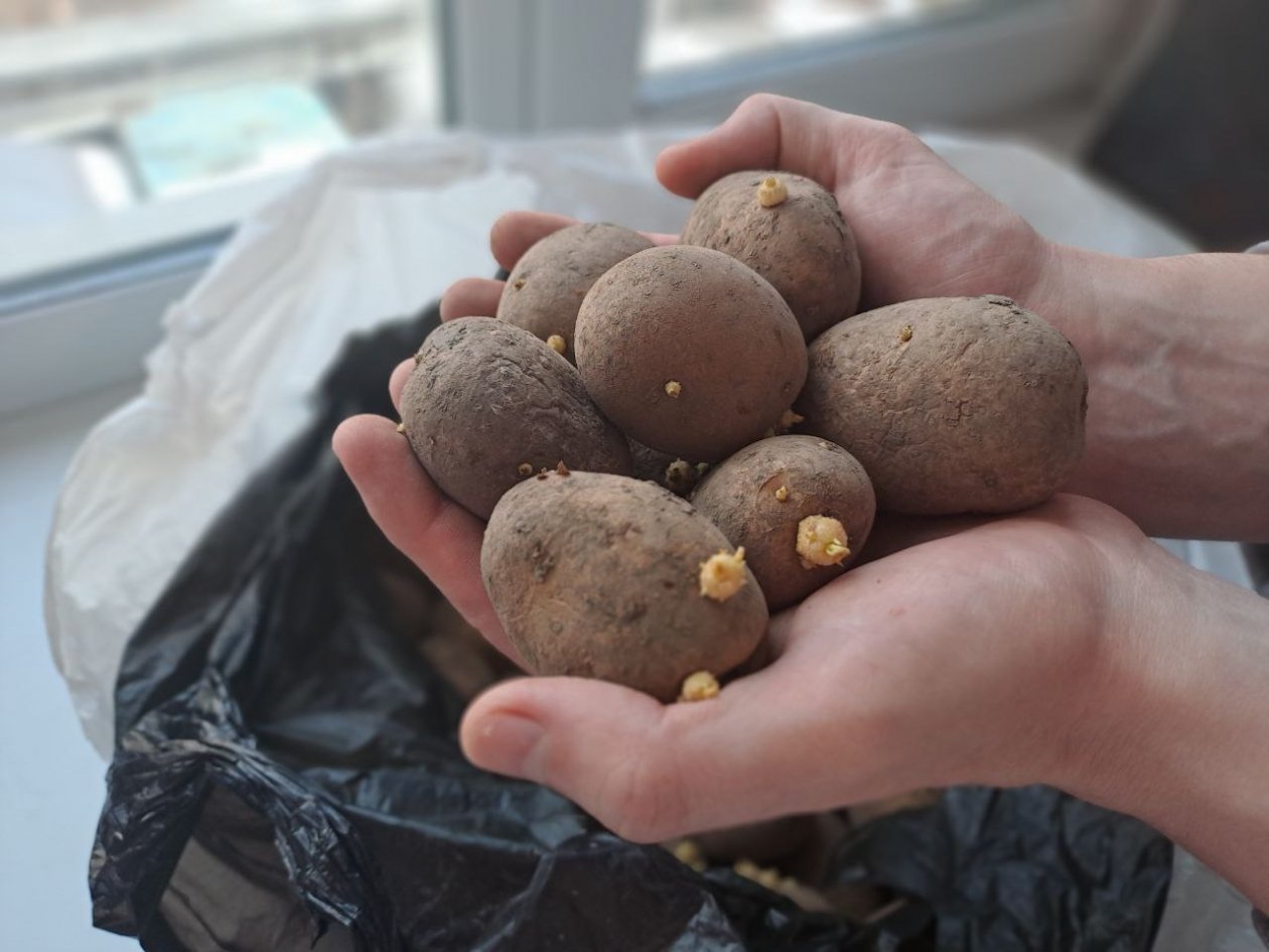 Амурчанка взяла предоплату за товар и исчезла с деньгами Ольга Брютова, ИА UssurMedia