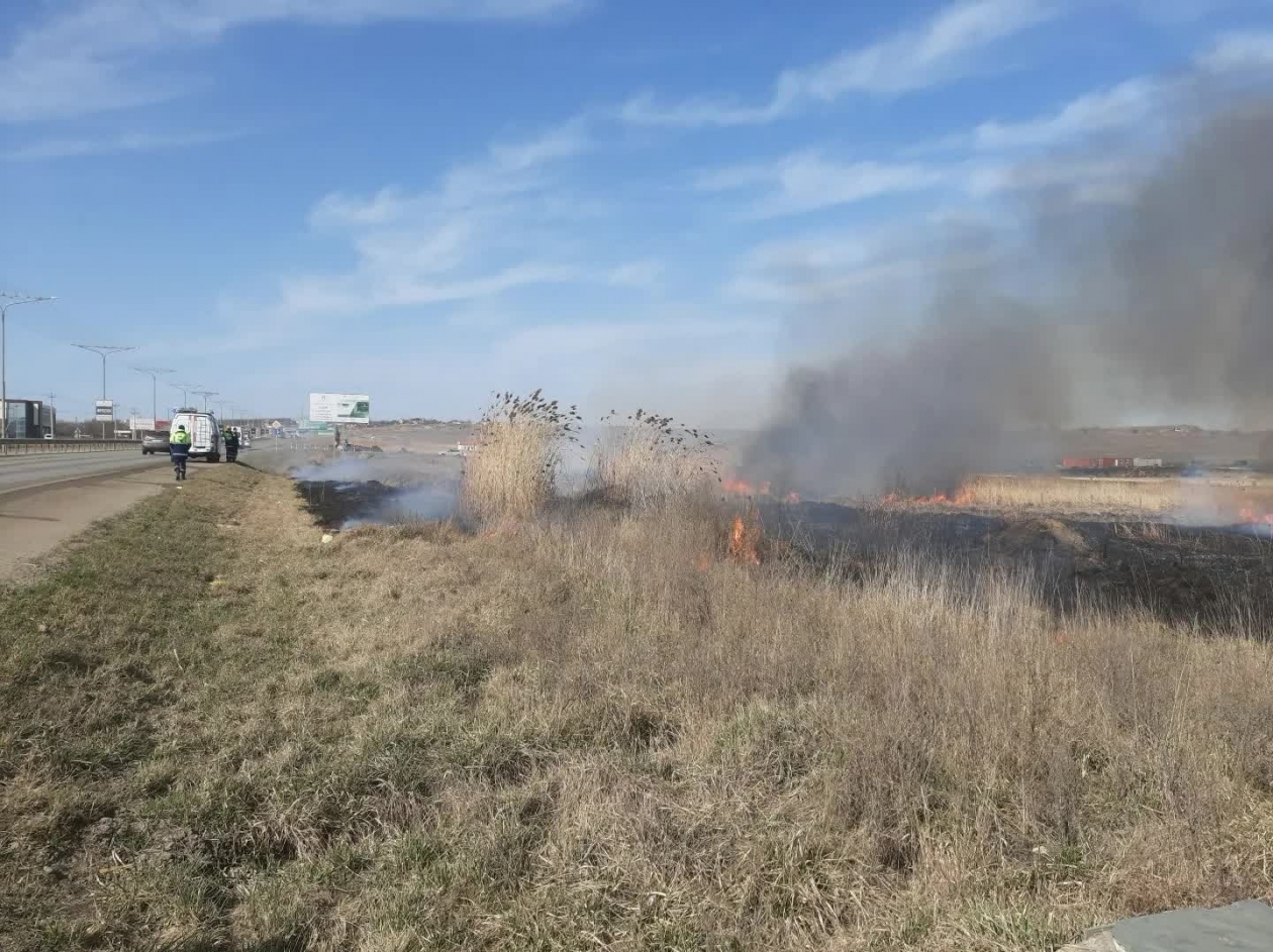 Выжигать сухую растительность начали на окраинах Ставрополя Администрация Ставрополя