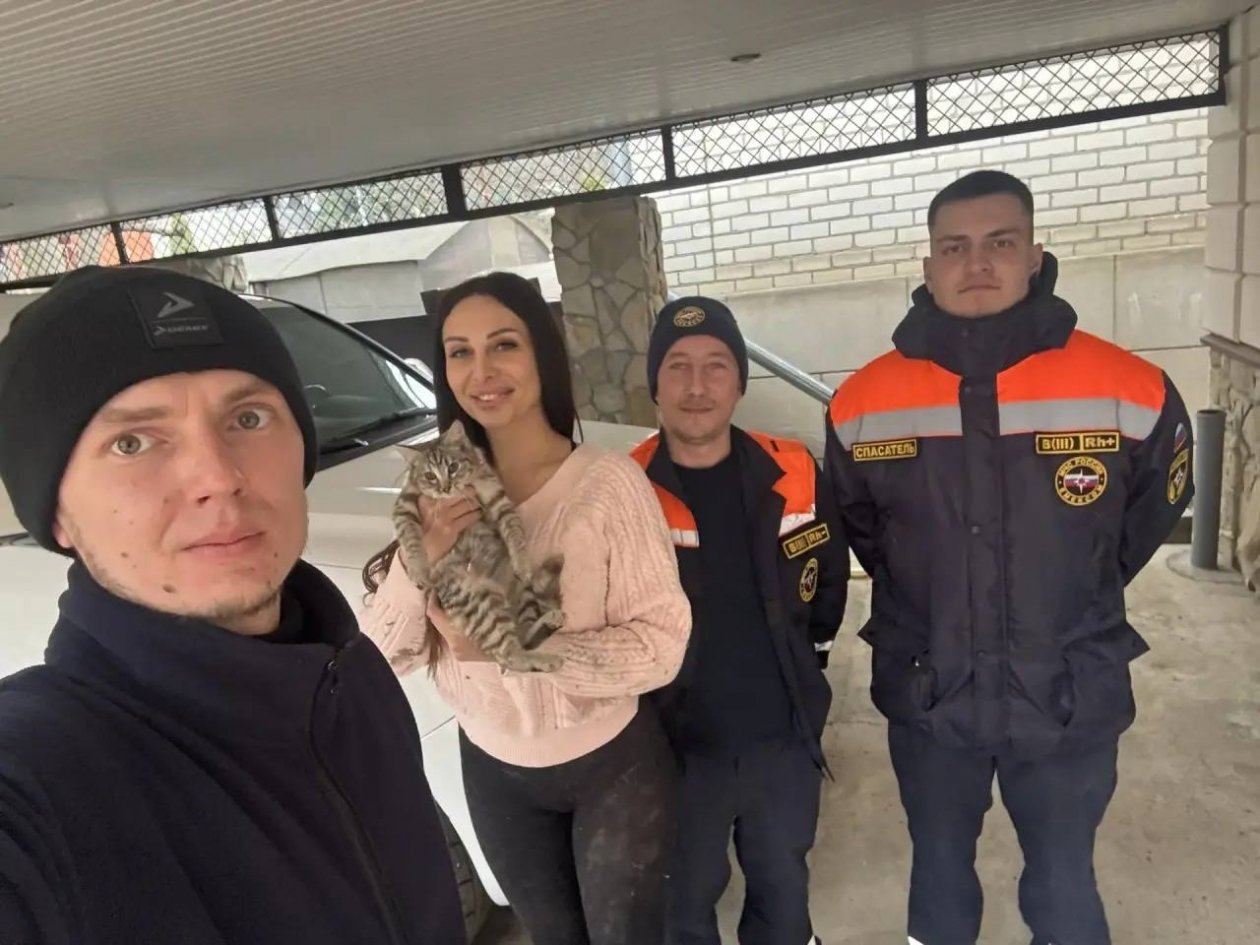 Кошка застряла в бытовом приборе в станице Ессентукской Предгорья Соцсети Н. Бондаренко