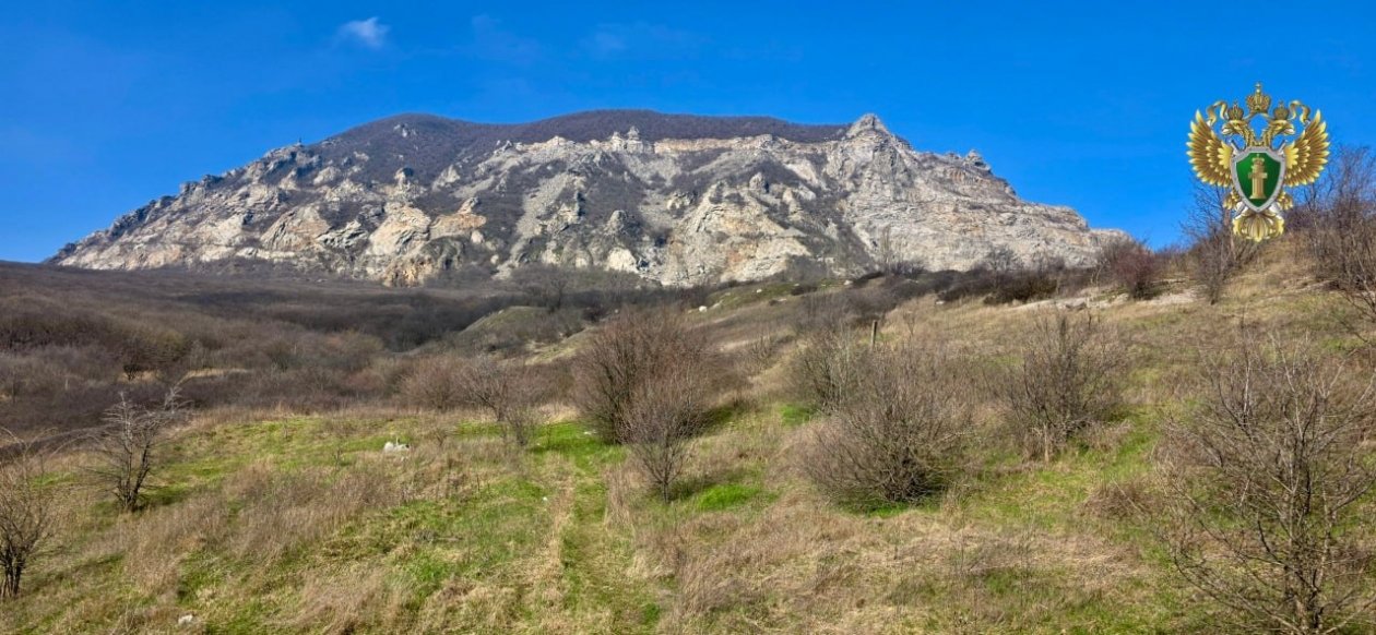 Организатор экоакции заплатит штраф за загрязнении природы на Ставрополье Пресс-служба прокуратуры Ставрополья