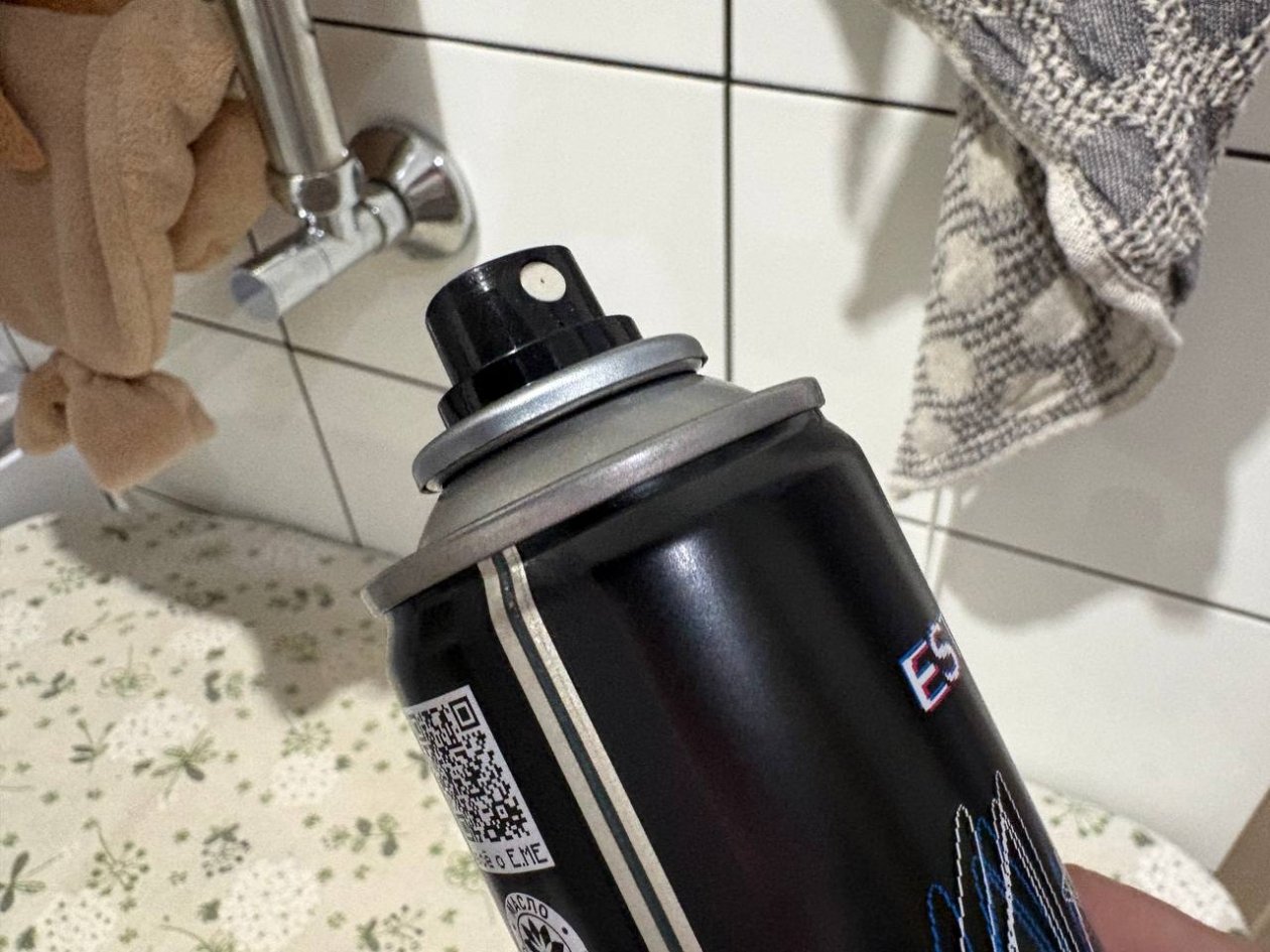 Вы - умная хозяйка, если наносите лак для волос на молнию и диван: 4 хитрости ИА Stavropol.Media