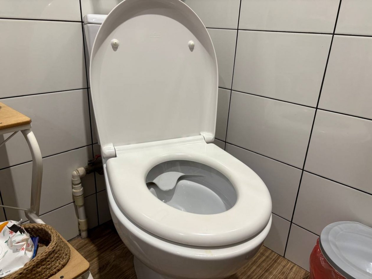 2 ложки в унитаз на ночь, и он сияет как на праздник - вантуз пылится 3 года ИА KrasnodarMedia