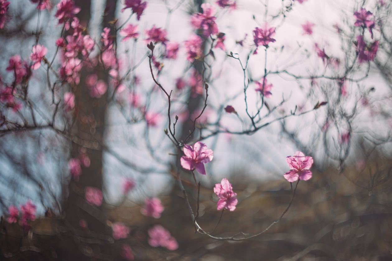 Тематическое фото ИА PrimaMedia