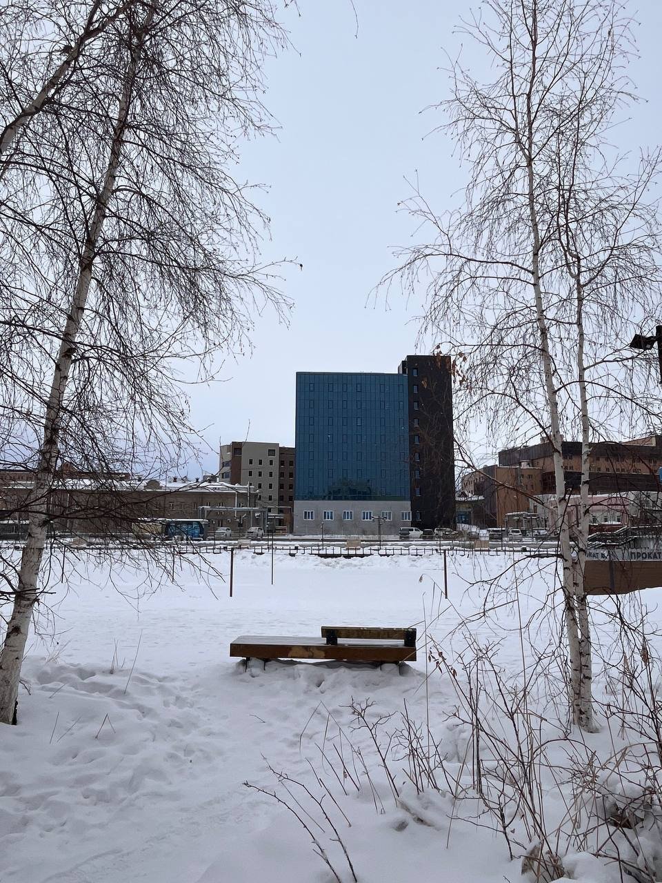 Гороскоп на 25 марта: Многие почувствуют желание пересмотреть свои текущие планы ИА YakutiaMedia