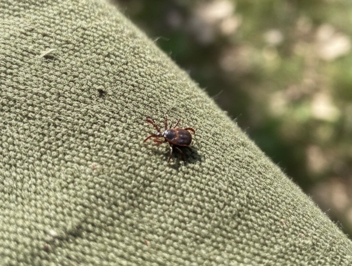 Тематическое фото ИИ Кандинский (18+)