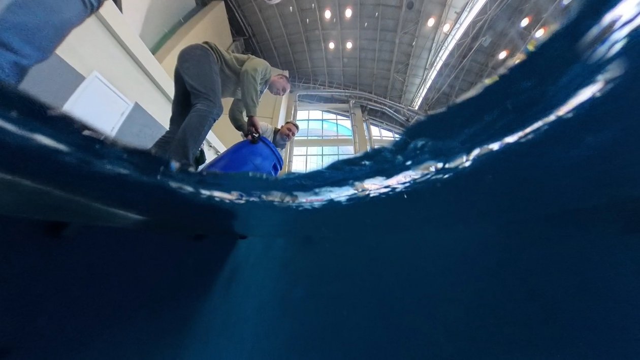 Пресс-служба Приморского океанариума