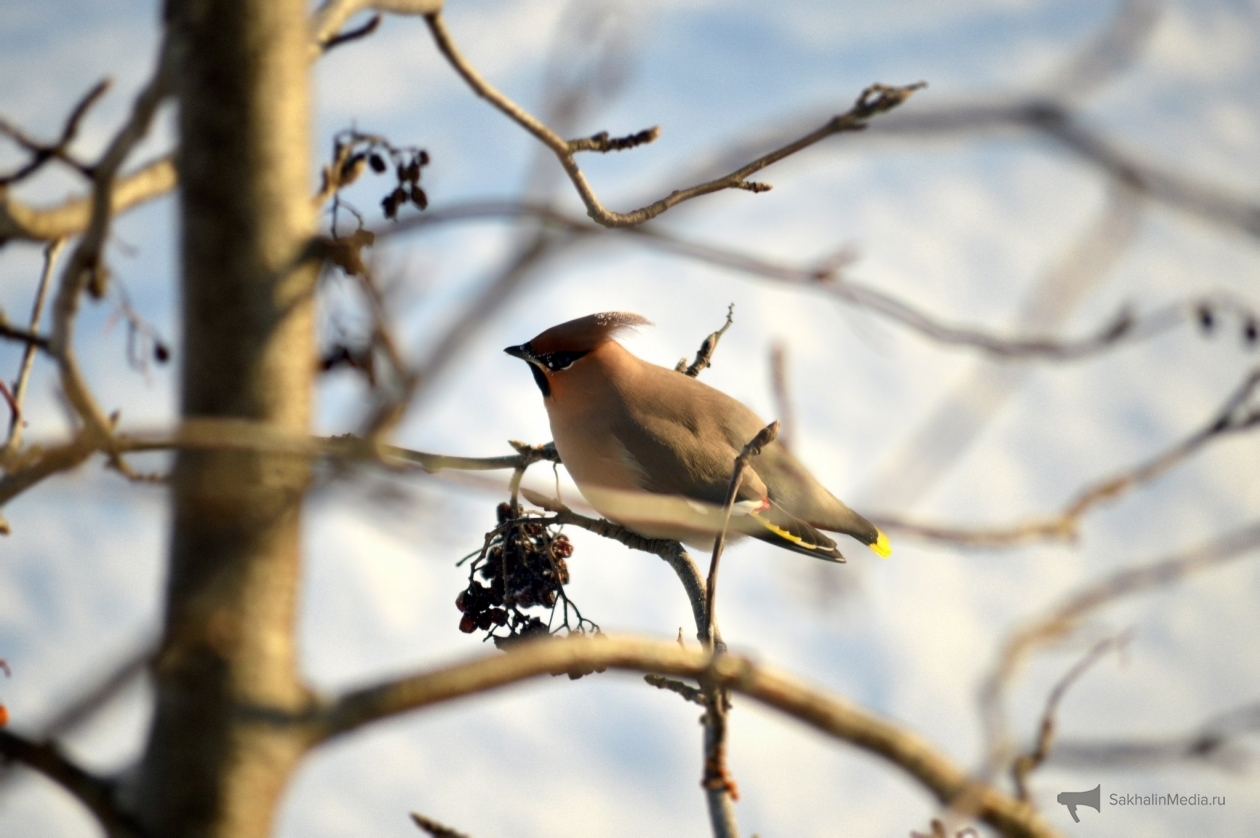 Тематическое фото Евгений Овдеенко, ИА OmskMedia