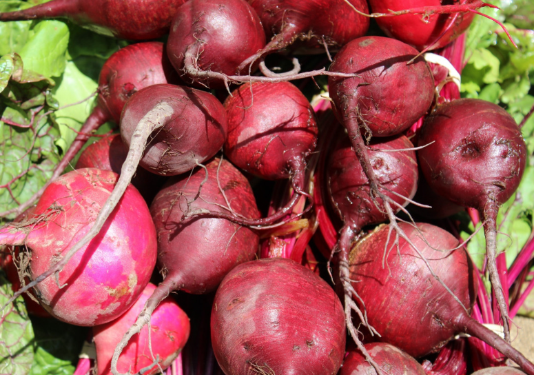 Тематическое фото Pxhere.com (18+)