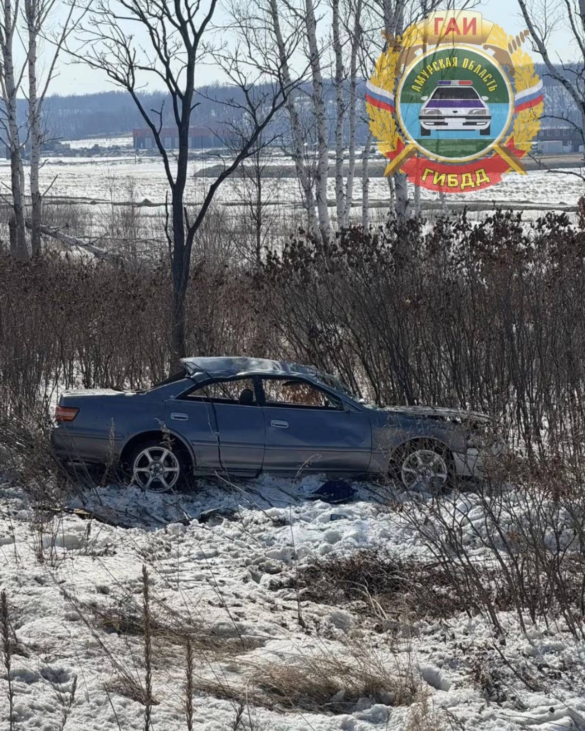 Toyota Mark 2 с водителем и четырьмя пассажирами слетела с дороги Госавтоинспекция Амурской области