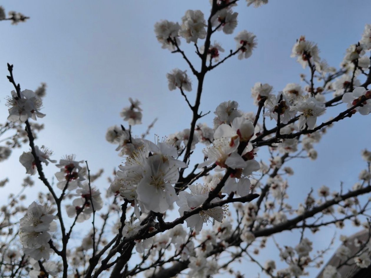 Температуру формирует периферия циклона ИА KrasnodarMedia