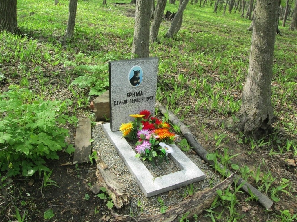 Кладбище домашних животных ИА PrimaMedia