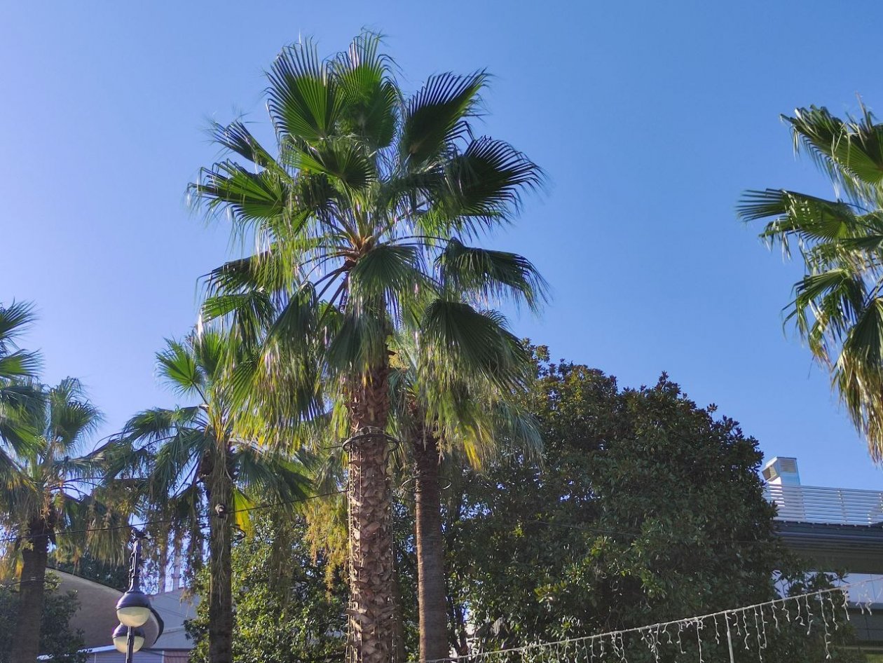 Отельеры Крыма назвали способ сохранить турпоток на фоне конкуренции с Сочи Карина Подкина