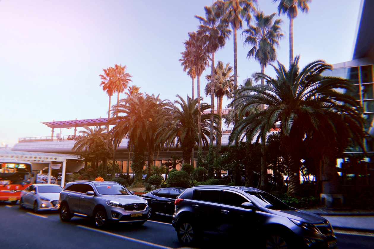 туризм, заграница, отпуск, пальмы, лето, жара, путешествие, отдых Мария Смитюк, ИА PrimaMedia