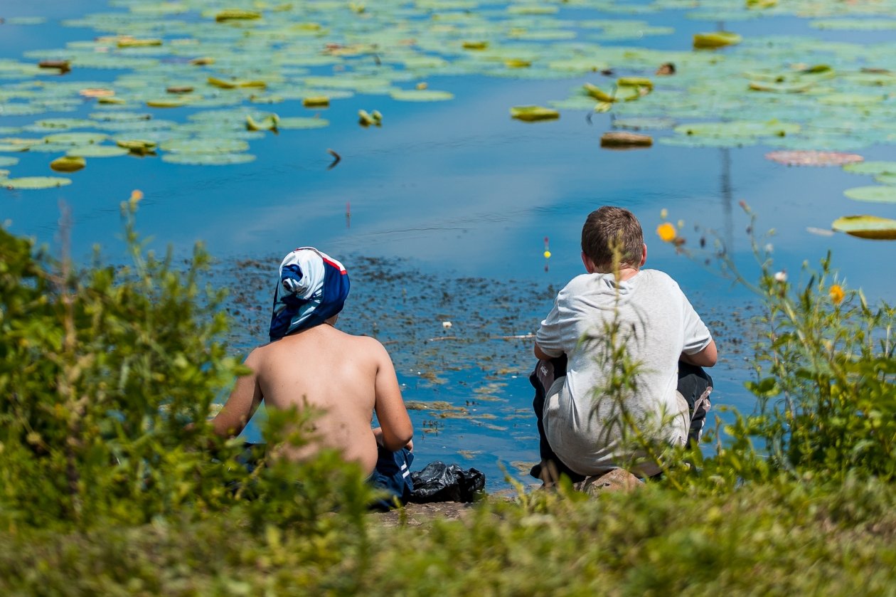 Дети Илья Аверьянов, ИА PrimaMedia.ru
