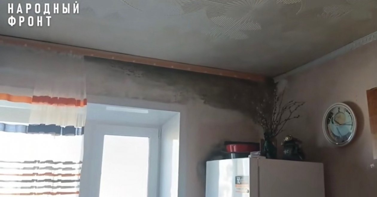 Плесень в квартире Народный Фронт Забайкалья