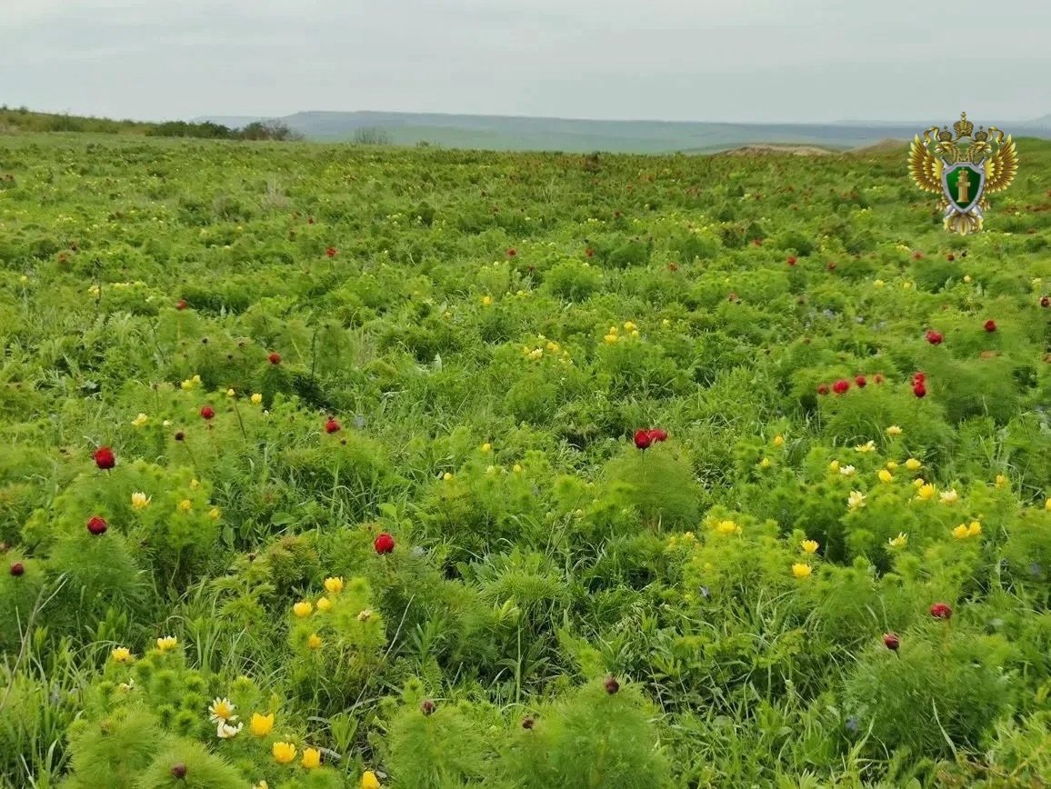 Прокуратура заставила охотхозяйство на Кавминводах строить вольеры и кордон пресс-служба прокуратуры Ставрополья
