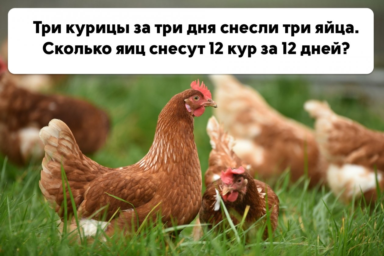 Тематическое фото ИА PrimaMedia