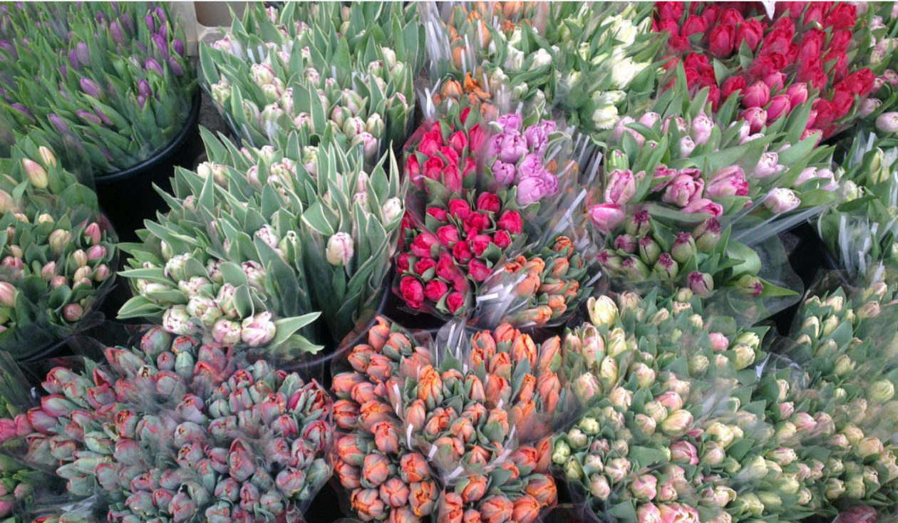 Тематическое фото Сайт pxhere.com