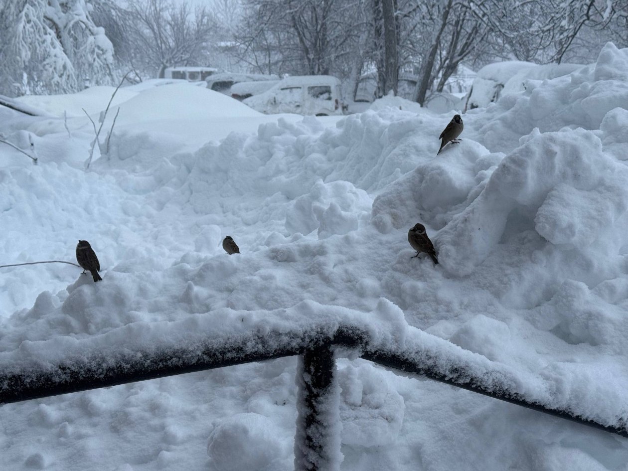 Архивное фото Ольга Семёнова,  ИА KamchatkaMedia