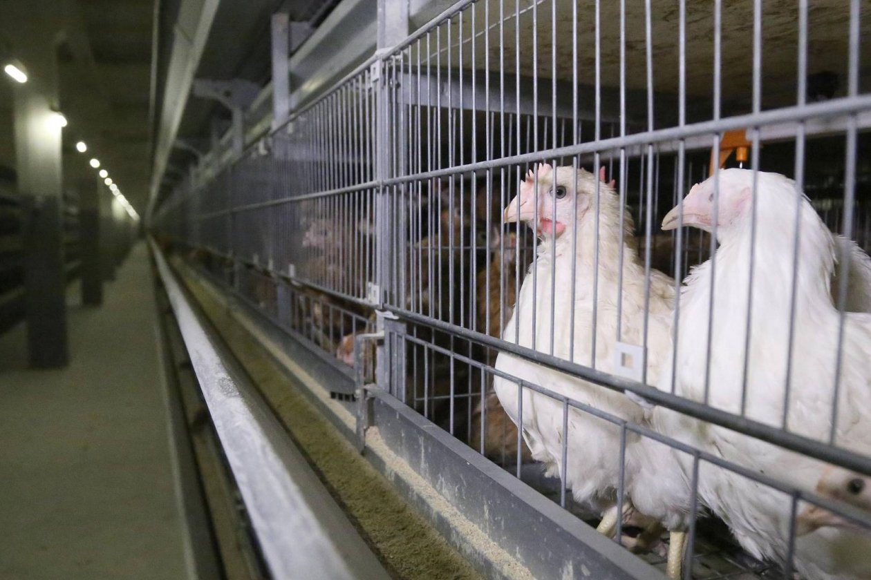 Заксобрание Камчатского края