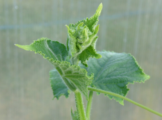 Тематическое фото ИА PrimaMedia