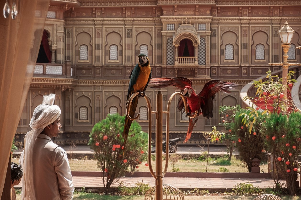 Комедия ТНТ (16+)