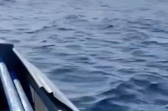 Скриншот тг-канал &quotnewsvlru&quot (18+)