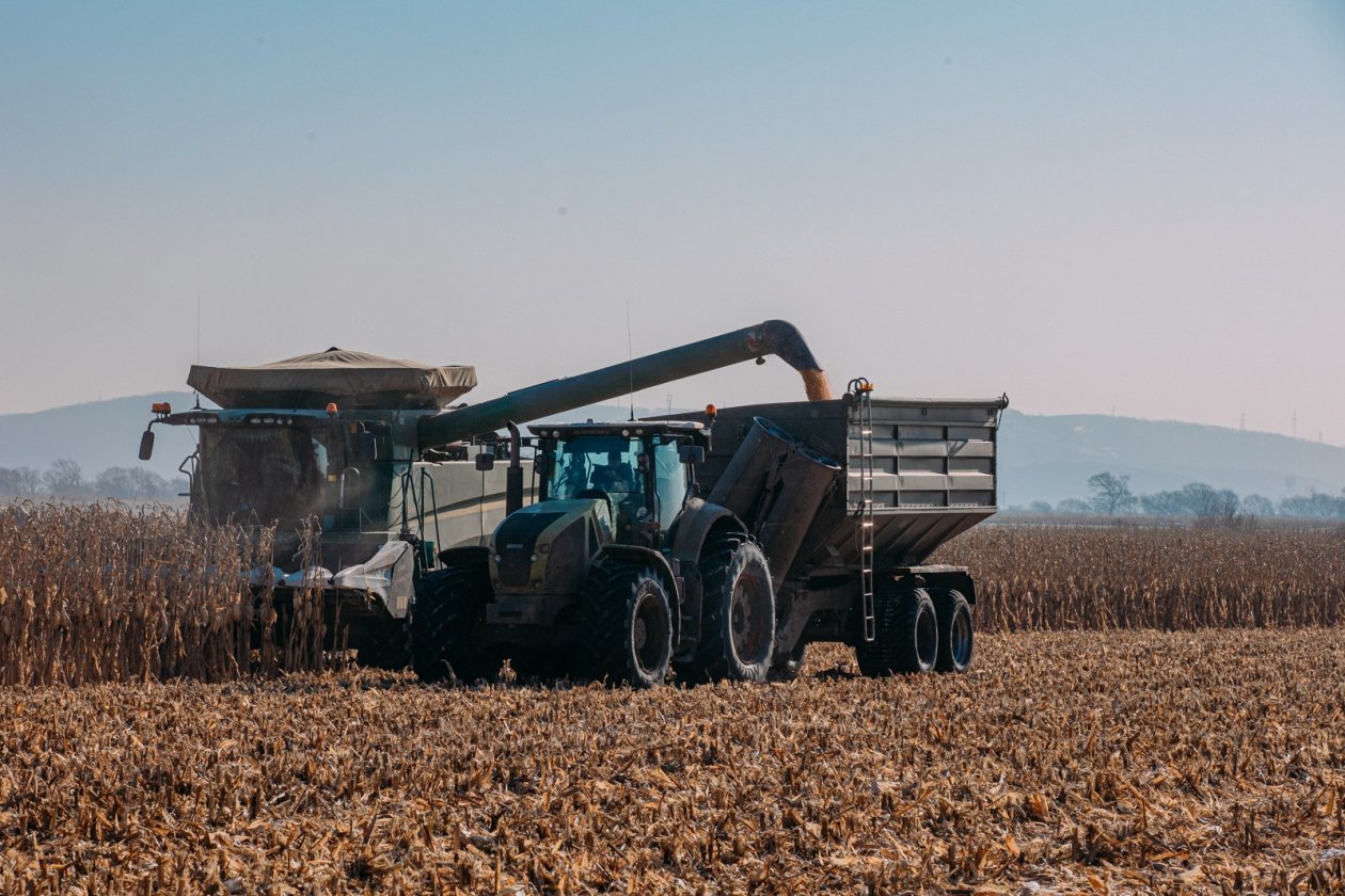 ООО &quotТруд&quot применяло опасные химикаты в Боханском районе Мария Смитюк, ИА PrimaMedia.ru