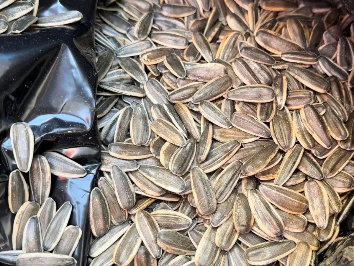 Семечки Россельхознадзор Забайкалья