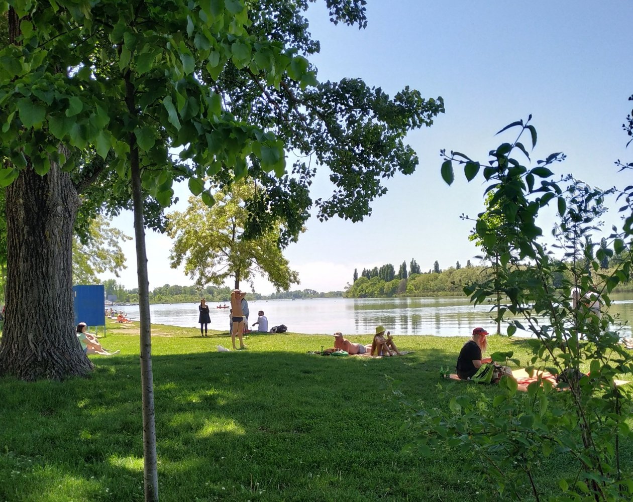 Краснодар остался без официальных пляжей в этом году ири