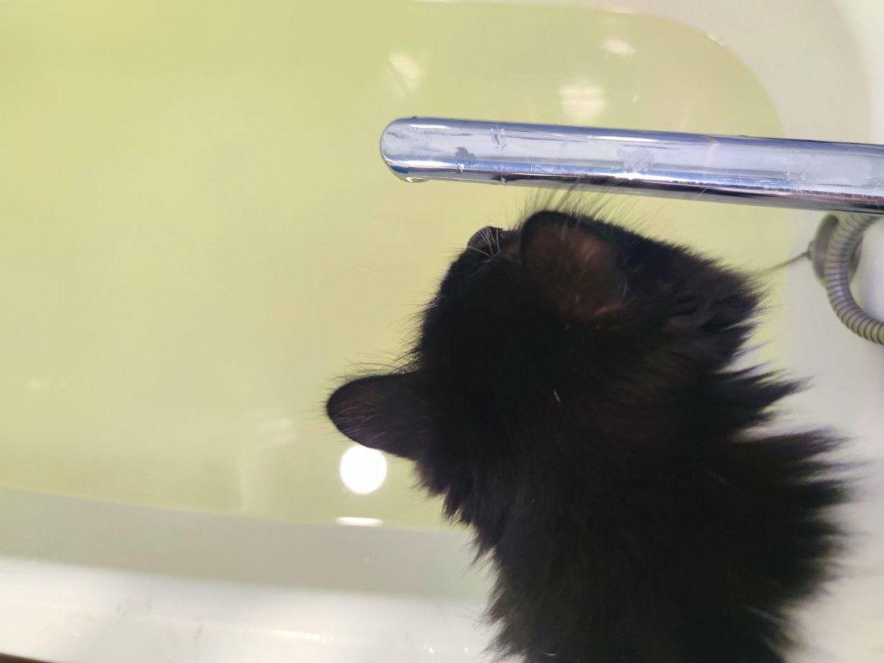 В Кисловодске вновь перебои с подачей воды и тепла ИА Stavropol.Media