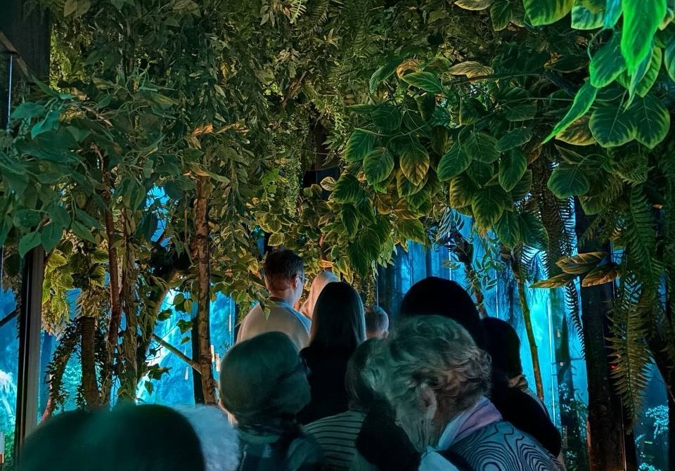 Вероника Дорошенко