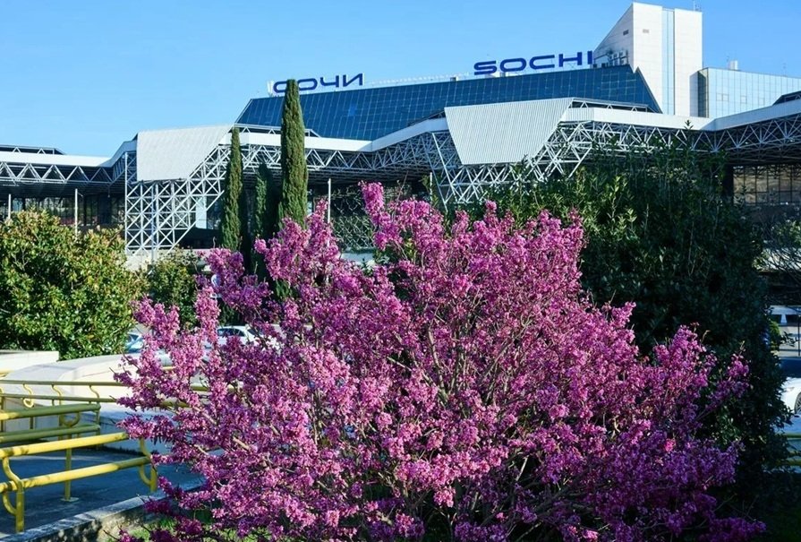 Аэропорт Сочи открывает весенне-летнюю навигацию с 83 направлениями полетов пресс-служба аэропорта Сочи