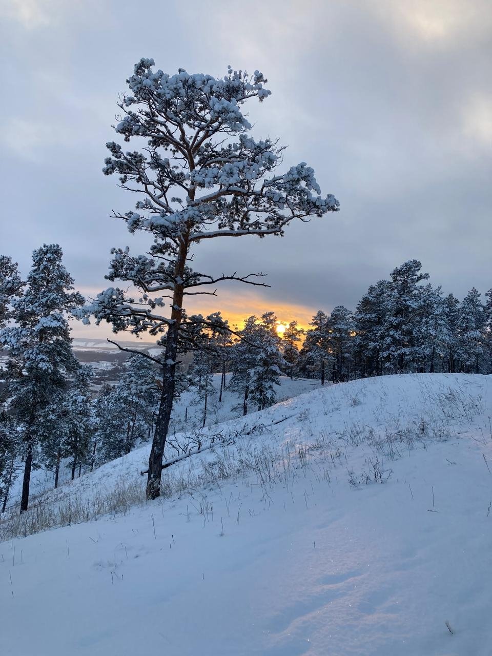 Гороскоп на 27 марта: Информацию следует тщательно проверять ИА YakutiaMedia