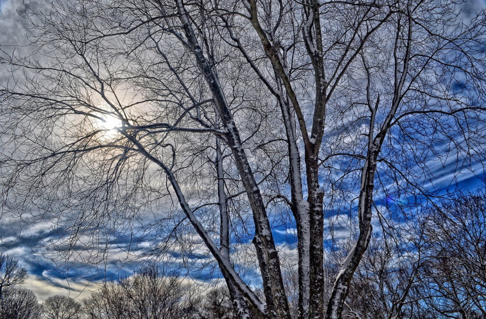 тематическое фото https://pxhere.com/ru/photo