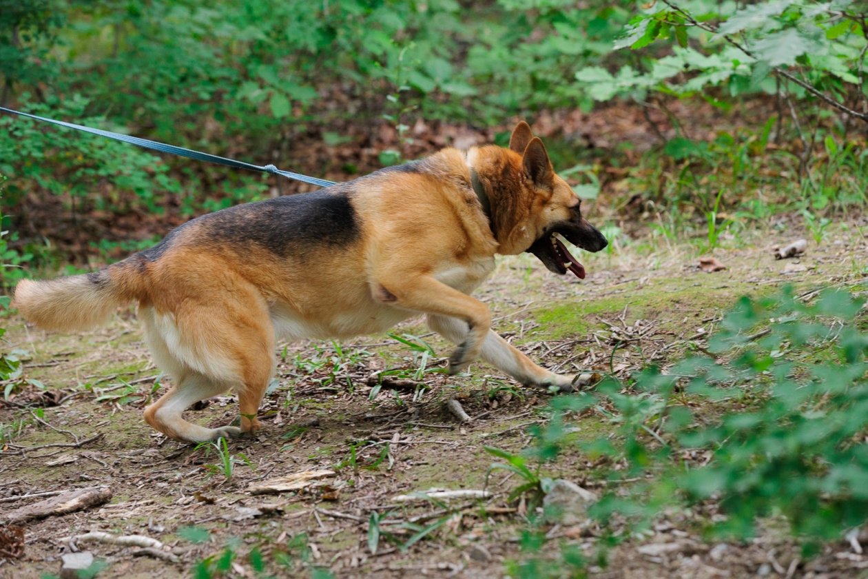 Тематическое фото Евгений Кулешов, ИА PrimaMedia.ru