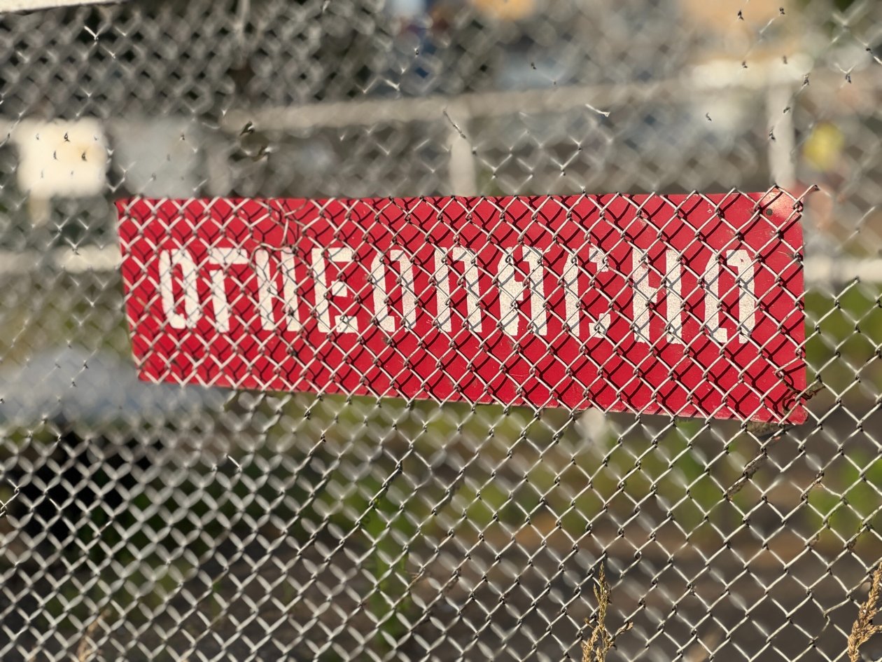 тематическое фото правительство ЕАР