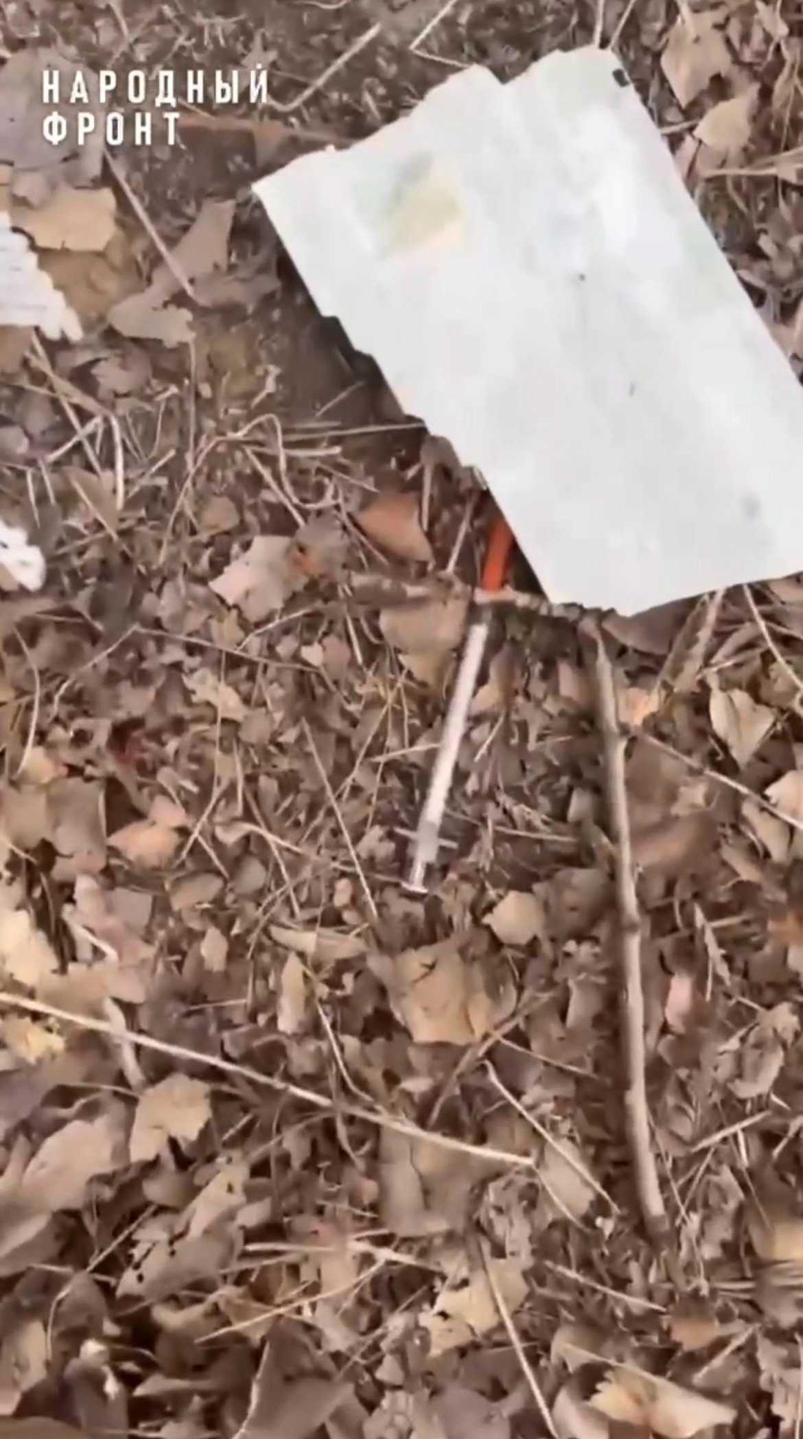 Кадр из видео Тг-канал (18+) народного фронта