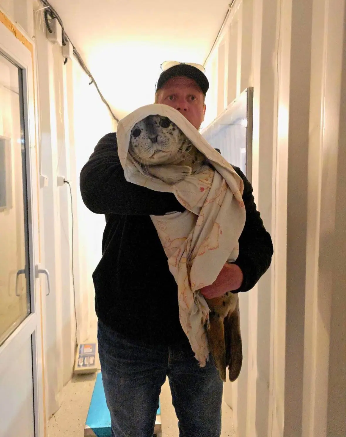 Семья спасла тюленя tg-канал (18+) svodka25