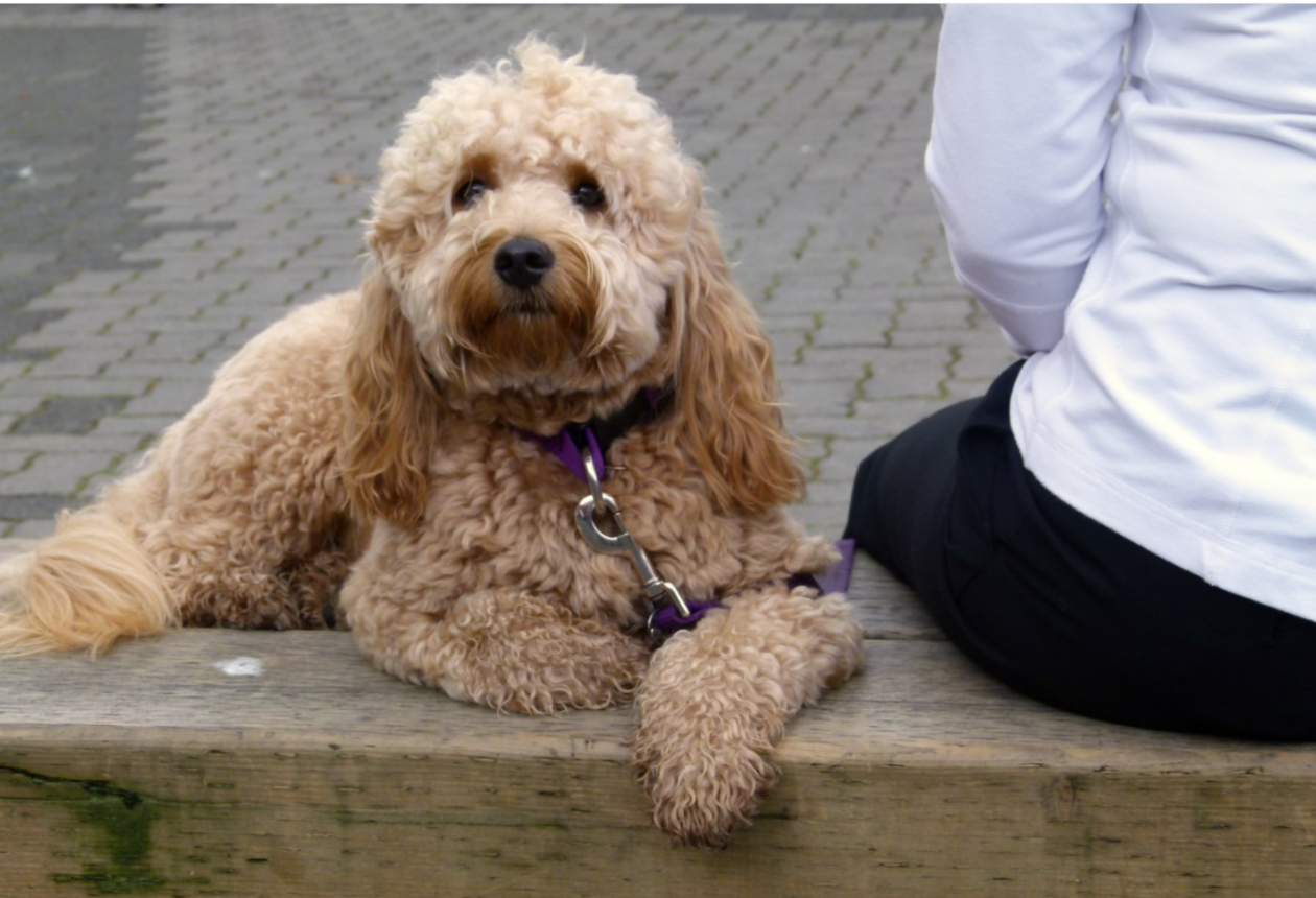 Тематическое фото Сайт pxhere.com