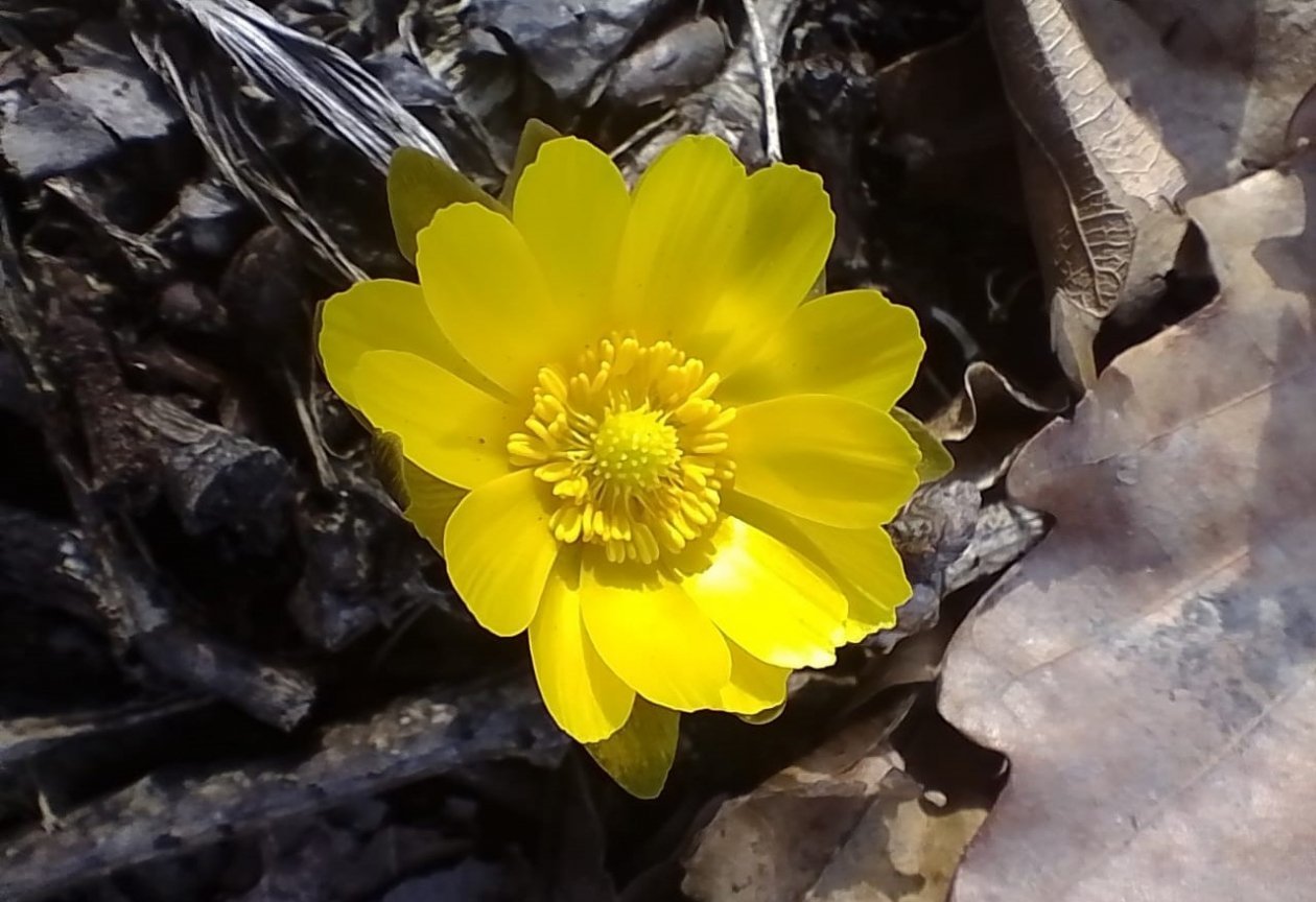 Будет чудо как тепло Игнат Клименко