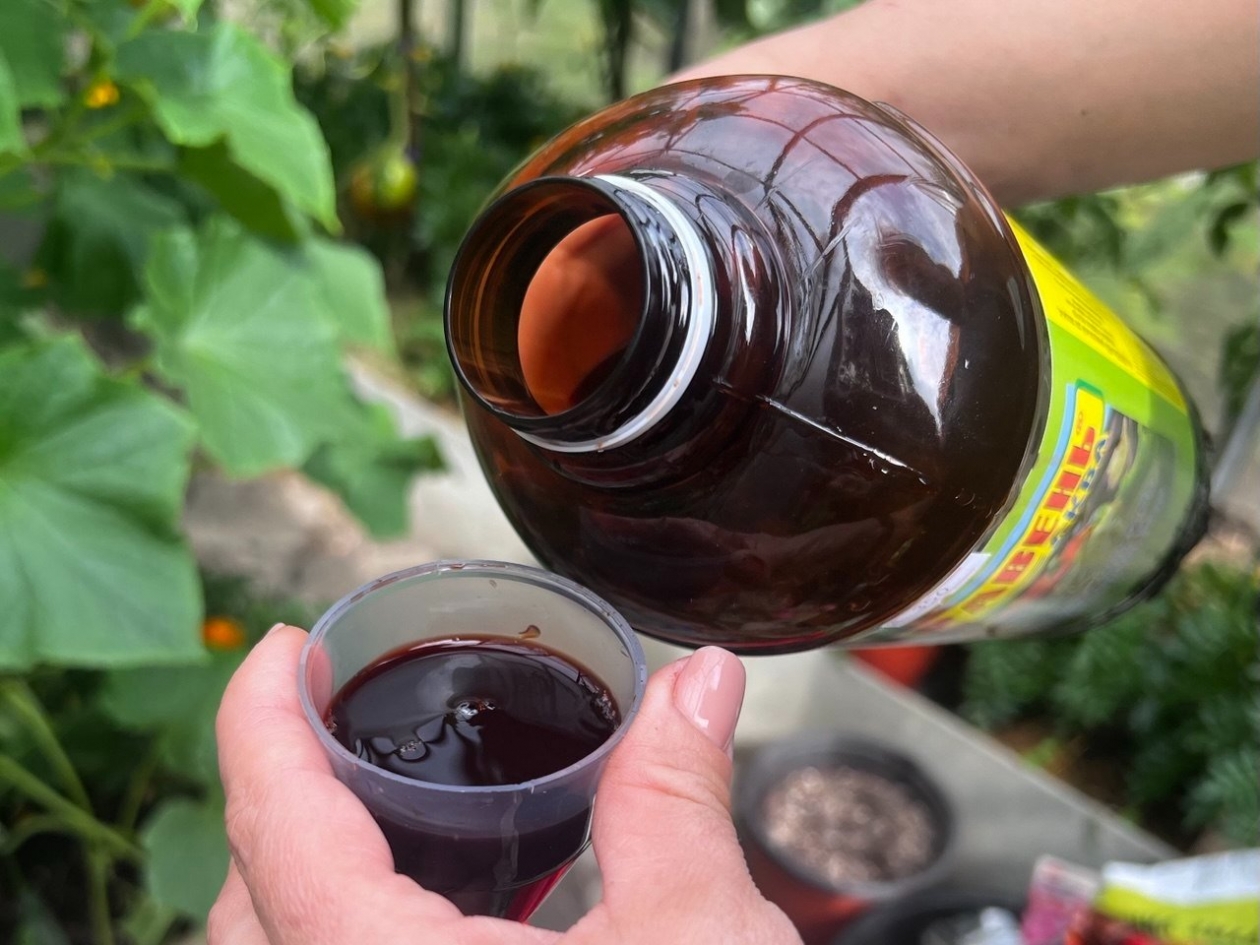 Муравьи бегут от этой отравы за 5 км: натуральный состав, прыскаю раз в месяц и радуюсь ИА SevastopolMedia