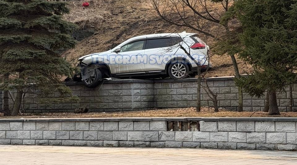 легковушка улетела с косогора и пропахала землю в Приморье tg-канал (18+) svodka25