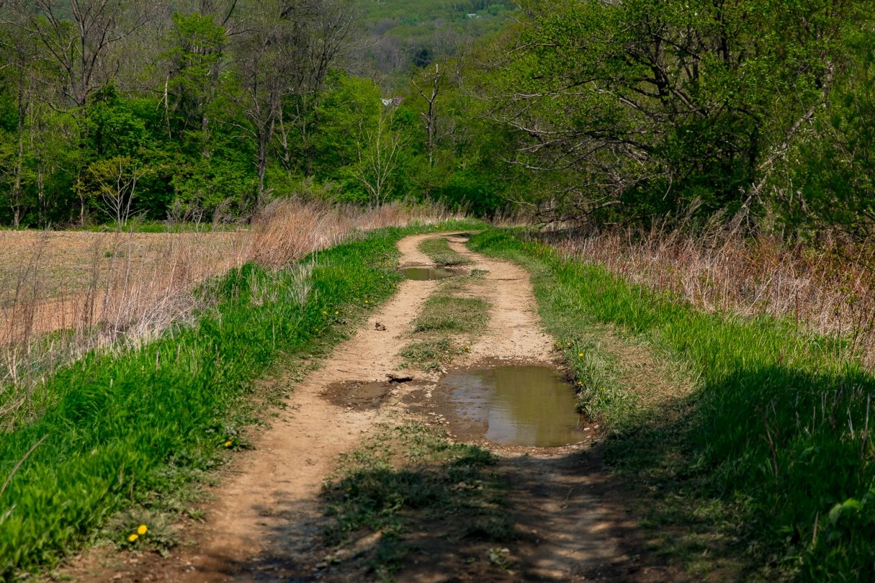 Дорога грунтовая Илья Аверьянов, ИА PrimaMedia.ru