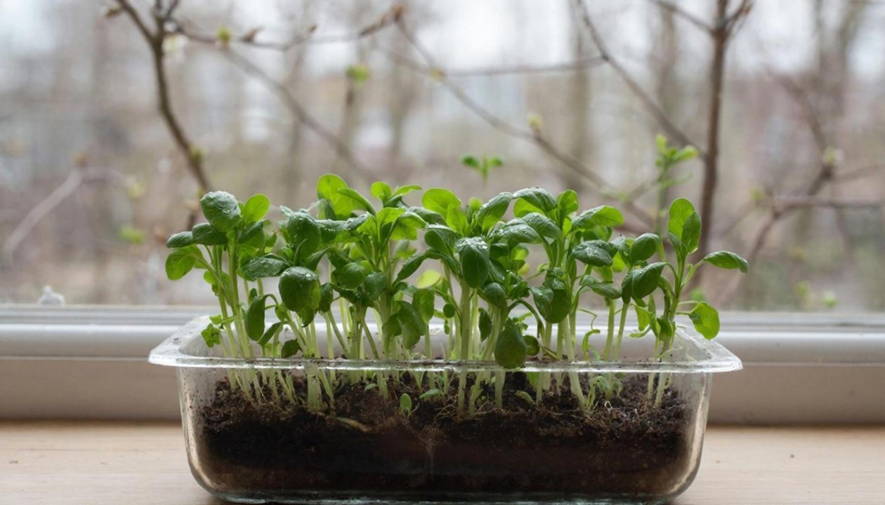 Тематическое фото ГигаЧат (18+)